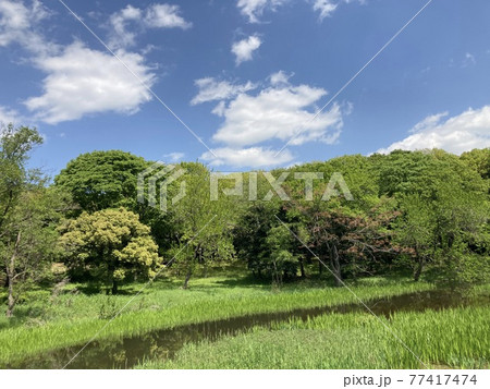 青空と公園の池 青空と公園の池 77417474