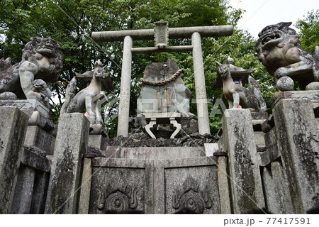 伏見稲荷大社　稲荷山　二ノ峰 77417591