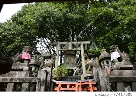 伏見稲荷大社　稲荷山　三ノ峰 77417600