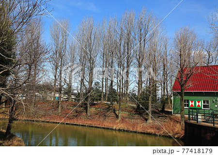 木曽三川公園：水郷パークセンター・139（岐阜県海津市） 77418179