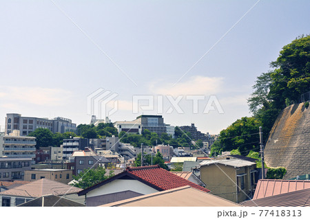 横浜・野毛山公園 77418313