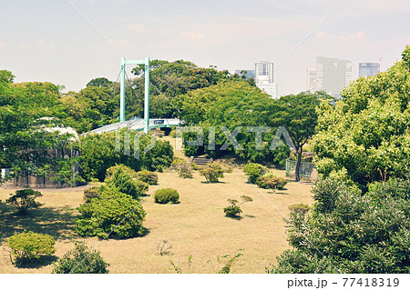 横浜・野毛山公園 77418319