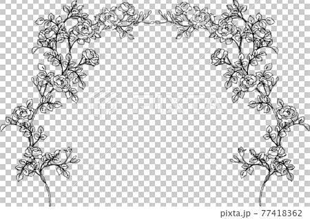 ペンで描いた薔薇のアーチのイラスト素材