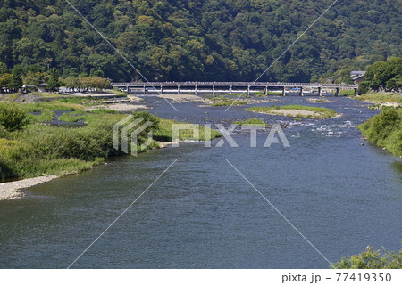 嵯峨野嵐山　渡月橋と大堰川（桂川） 77419350