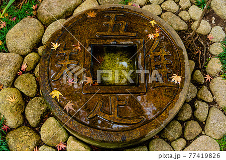 鎌倉・長谷寺 知足の蹲踞(つくばい) 77419826