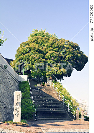 横浜・本覚寺 77420039