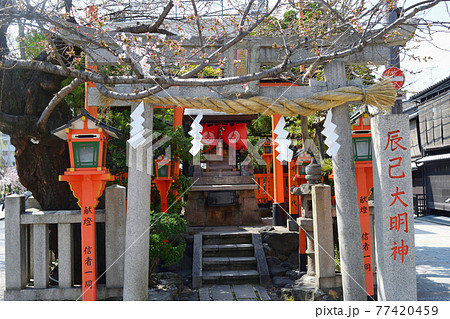 京都 辰巳大明神 77420459