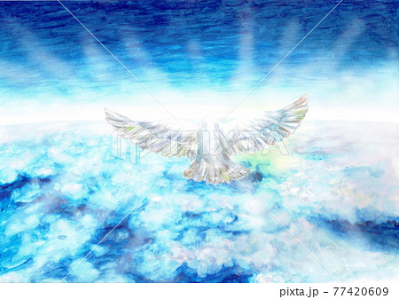 Sea Of Clouds Bird Light Stock Illustration