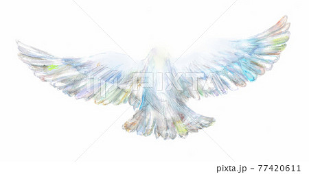 A Bird That Spreads Its Wings And Flies Stock Illustration