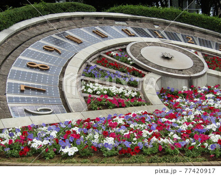 日時計花壇のぺチニアの花 77420917