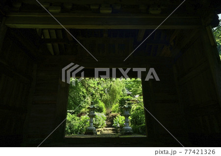 大中寺の山門に紫陽花咲く境内 大中寺の山門に紫陽花咲く境内 77421326