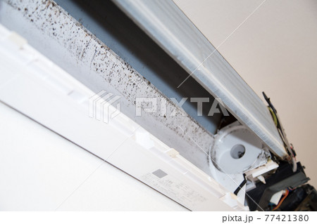 エアコンの内部の汚れ カビ ホコリ エアコンの内部の汚れ カビ ホコリ 77421380