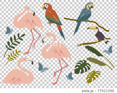 ジャングルの鳥たちセットのイラスト素材
