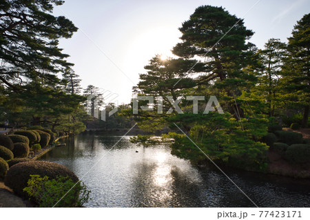 日本三名園のひとつ金沢兼六園の庭園 77423171