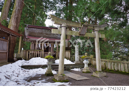 北陸最大級のパワースポット白山比咩神社 77423212