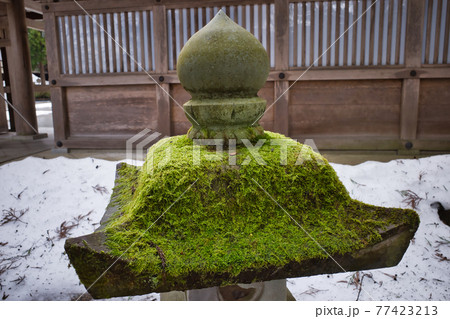 北陸最大級のパワースポット白山比咩神社 77423213
