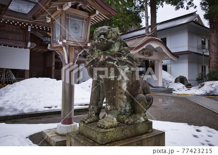 北陸最大級のパワースポット白山比咩神社の狛犬の写真素材
