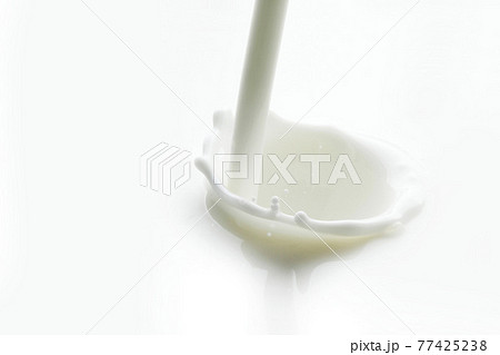 Pouring milk splash Pouring milk splash 77425238