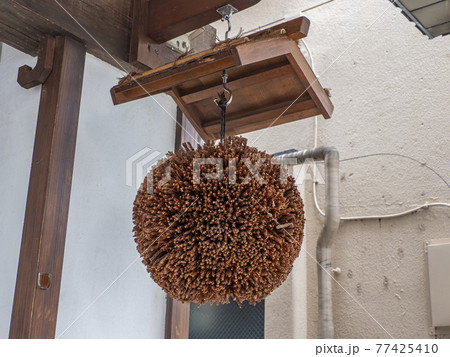 杉玉 杉玉 77425410