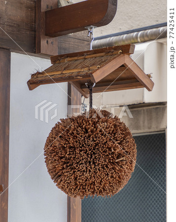 杉玉 杉玉 77425411