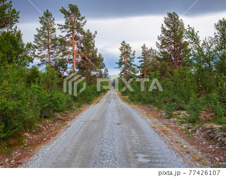 Scenic gravel road in Oppland Norway Scandinavia 77426107