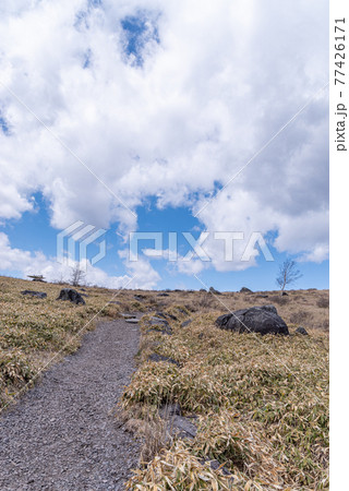 空に続く道 77426171