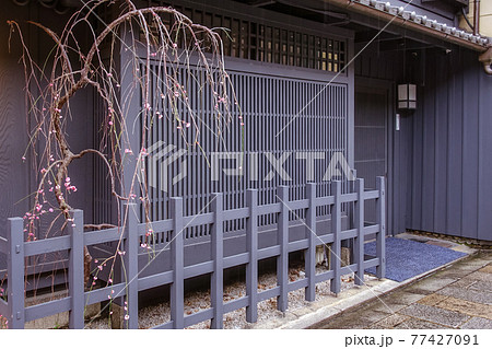 雨の京都、祇園新橋（重要伝統的建造物保存地区の案内板）の出格子 77427091
