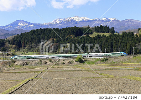山形新幹線「とれいゆ つばさ」と残雪の吾妻連峰 77427184