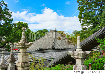 八事山興正寺の秋の風物詩、千燈供養会〈愛知県名古屋市〉 八事山興正寺の秋の風物詩、千燈供養会〈愛知県名古屋市〉 77427313