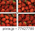 イチゴ3 77427780