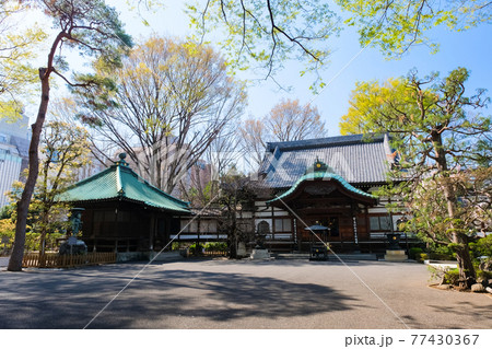 東京都 吉祥寺 月窓寺 本堂と観音堂 東京都 吉祥寺 月窓寺 本堂と観音堂 77430367