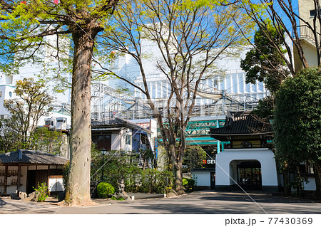 東京都 吉祥寺 月窓寺 境内 東京都 吉祥寺 月窓寺 境内 77430369