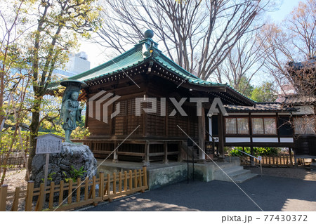 東京都 吉祥寺 月窓寺 観音堂 東京都 吉祥寺 月窓寺 観音堂 77430372