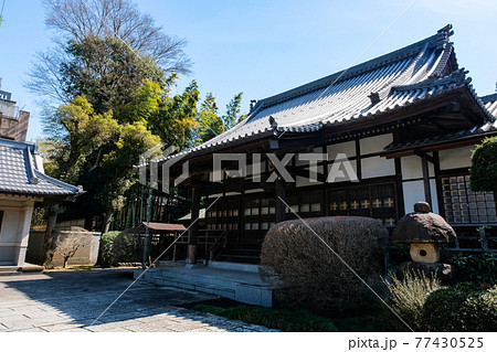東京都 吉祥寺 光専寺 77430525