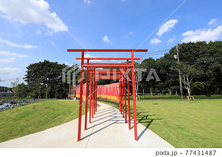 角川武蔵野ミュージアム 77431487