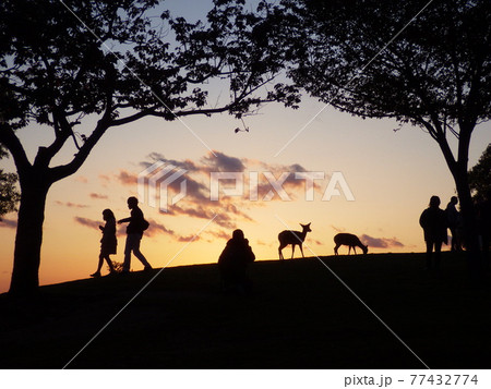 奈良 若草山展望台の夕景とシルエット 奈良 若草山展望台の夕景とシルエット 77432774
