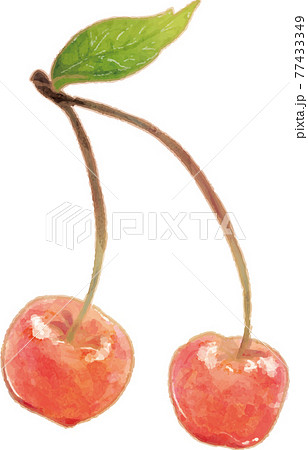 葉っぱ付きのふたごのさくらんぼ 葉っぱ付きのふたごのさくらんぼ 77433349