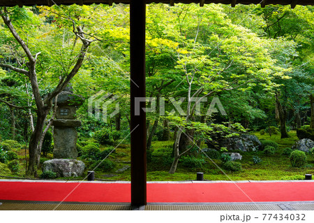 京都の寺院の庭園 77434032