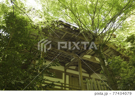 清龍宮拝殿　醍醐寺 77434079