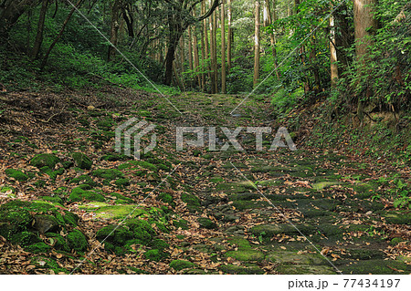 歴史の道百選！　龍門司坂 77434197
