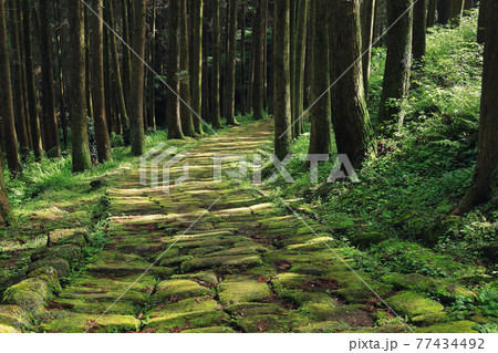 歴史の道百選！　龍門司坂 77434492