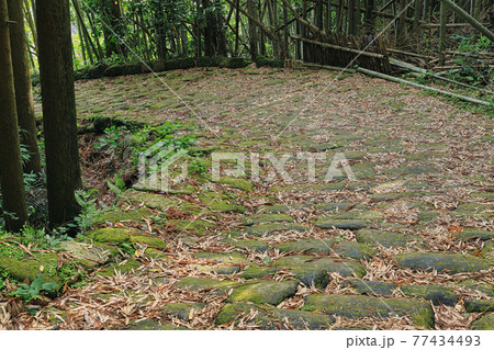 歴史の道百選！　龍門司坂 77434493