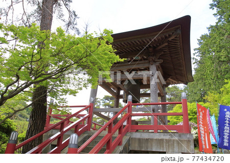 塩船観音寺　つつじ満開 77434720