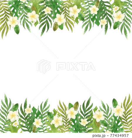 水彩風プルメリアとボタニカルリーフのトロピカルフレームセットのイラスト素材