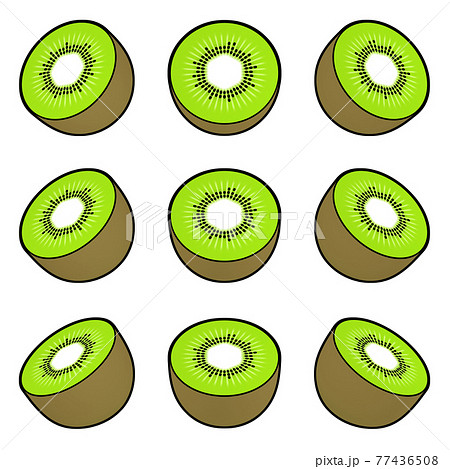 タイトル : 果物のイラスト素材　半分に切られたキウイフルーツ　線画風　カラー　9点セット　カット集 77436508