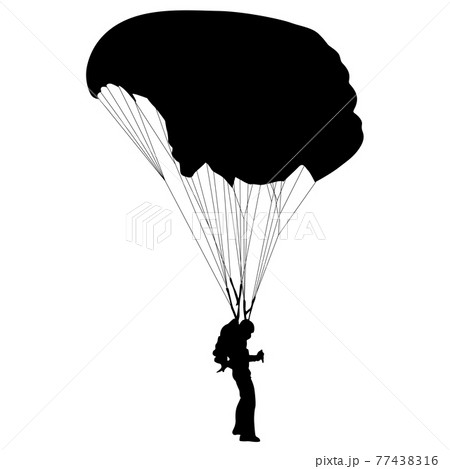 Skydiver, silhouettes parachuting on white background 77438316