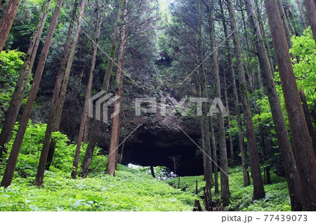 上色見熊野座神社 上色見熊野座神社 77439073