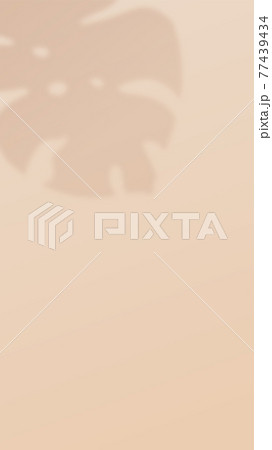 Palm shadow on sunny background. Tropical leaf shadow. 77439434