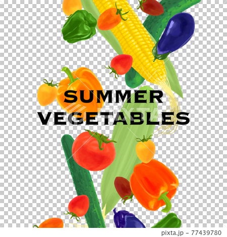 Image vector illustration of summer vegetables such as tomatoes, peppers, and eggplants falling 77439780