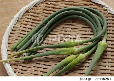 ざるにのったニンニクの茎 ざるにのったニンニクの茎 77440204